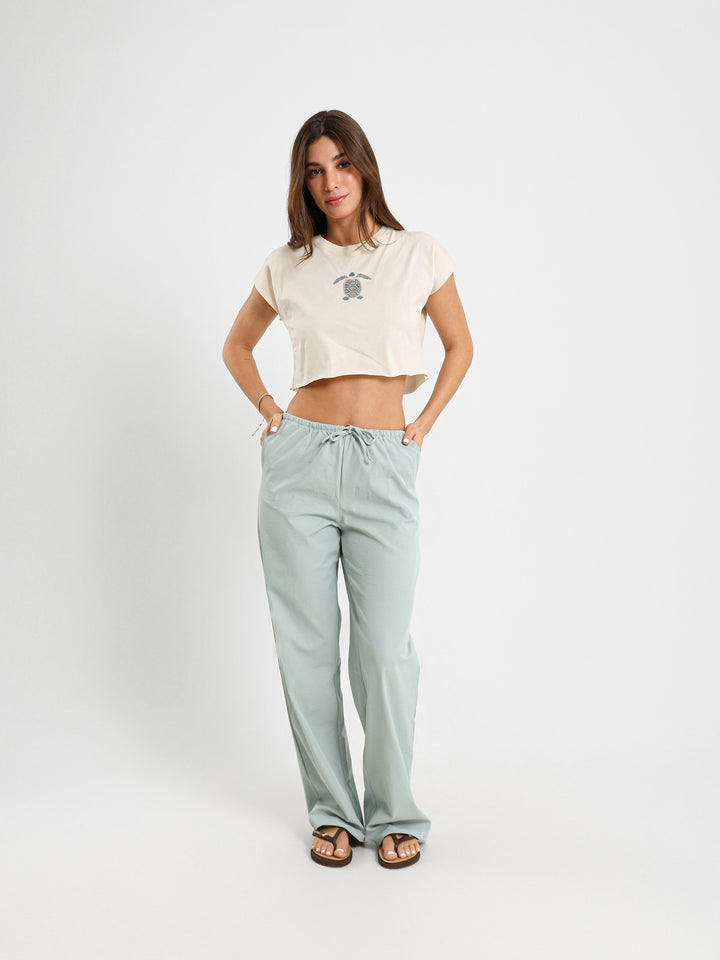 Turtle Print Cropped T-Shirt