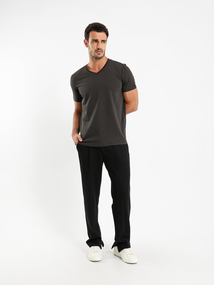 Basic Regular Fit V-Neck T-Shirt