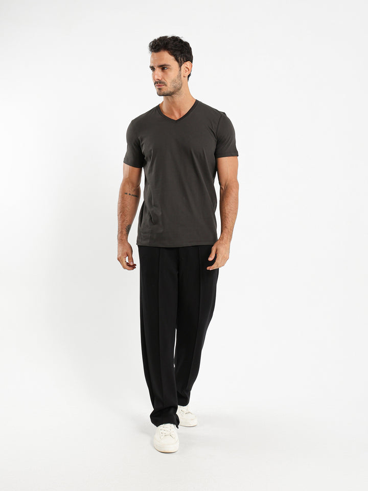 Basic Regular Fit V-Neck T-Shirt