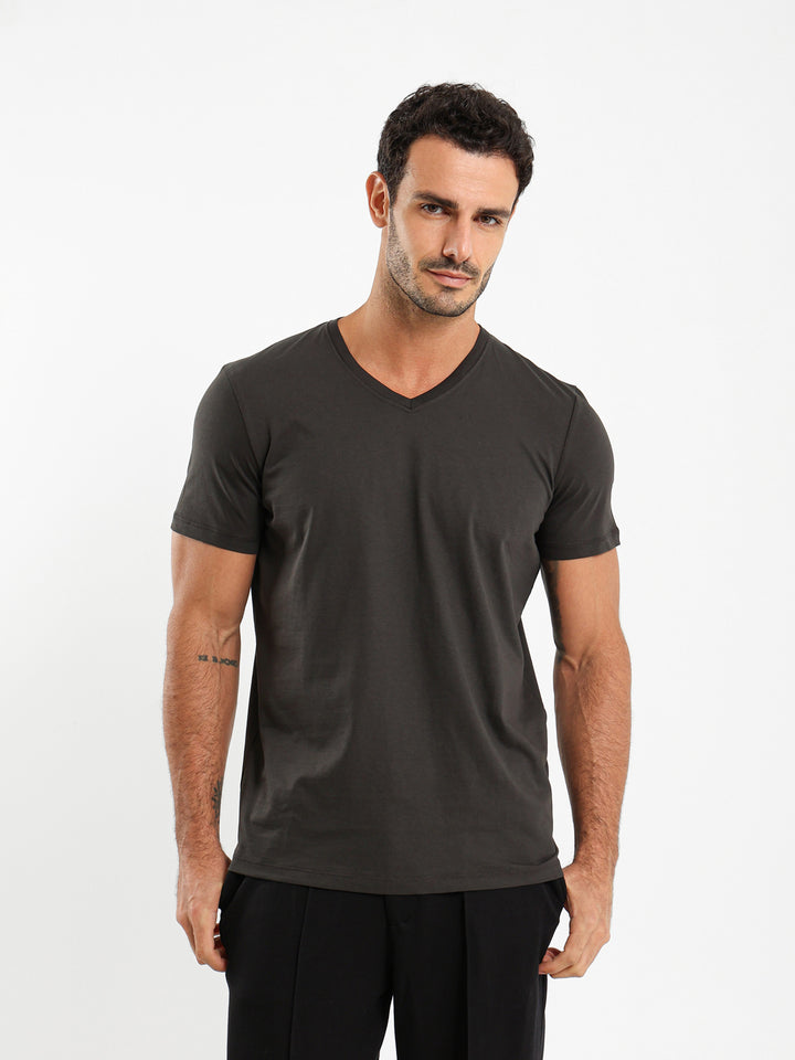 Basic Regular Fit V-Neck T-Shirt