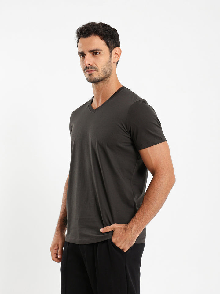 Basic Regular Fit V-Neck T-Shirt