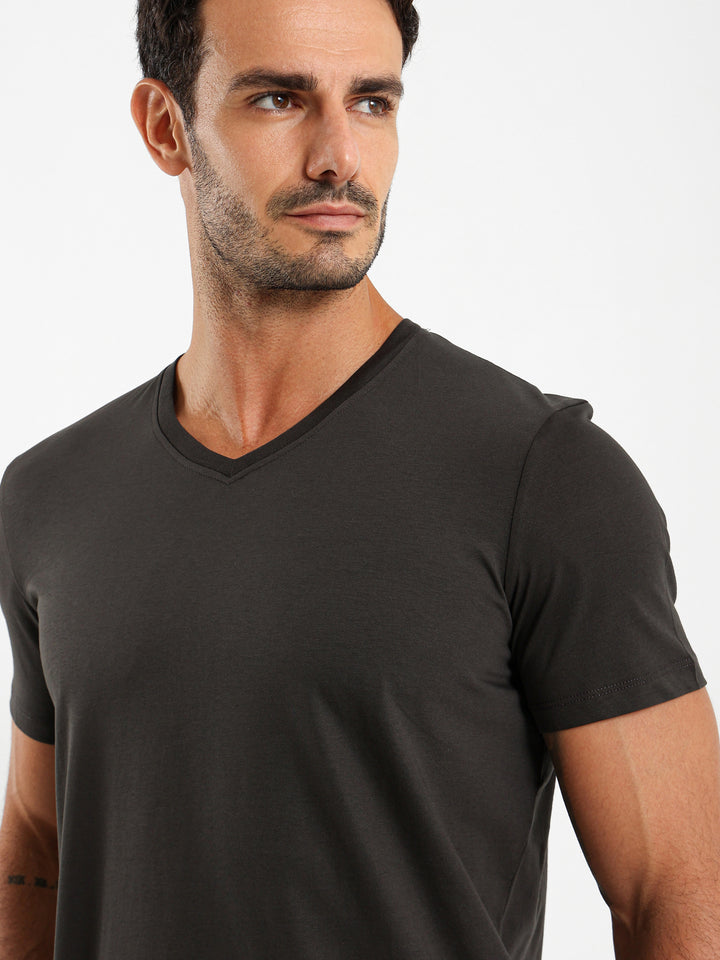 Basic Regular Fit V-Neck T-Shirt
