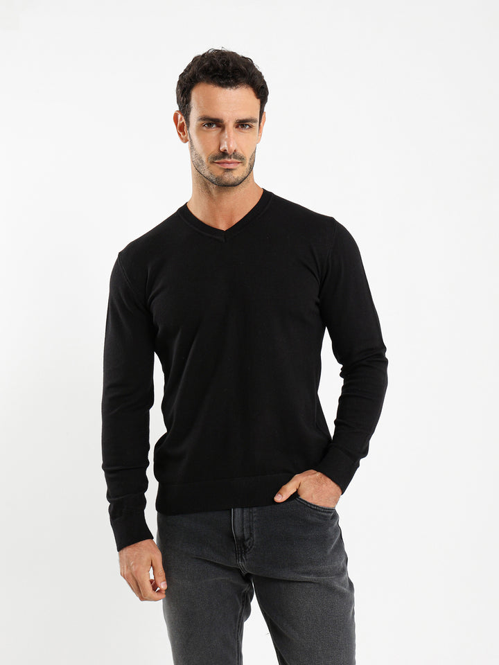 Basic Regular V-Neck Pullover