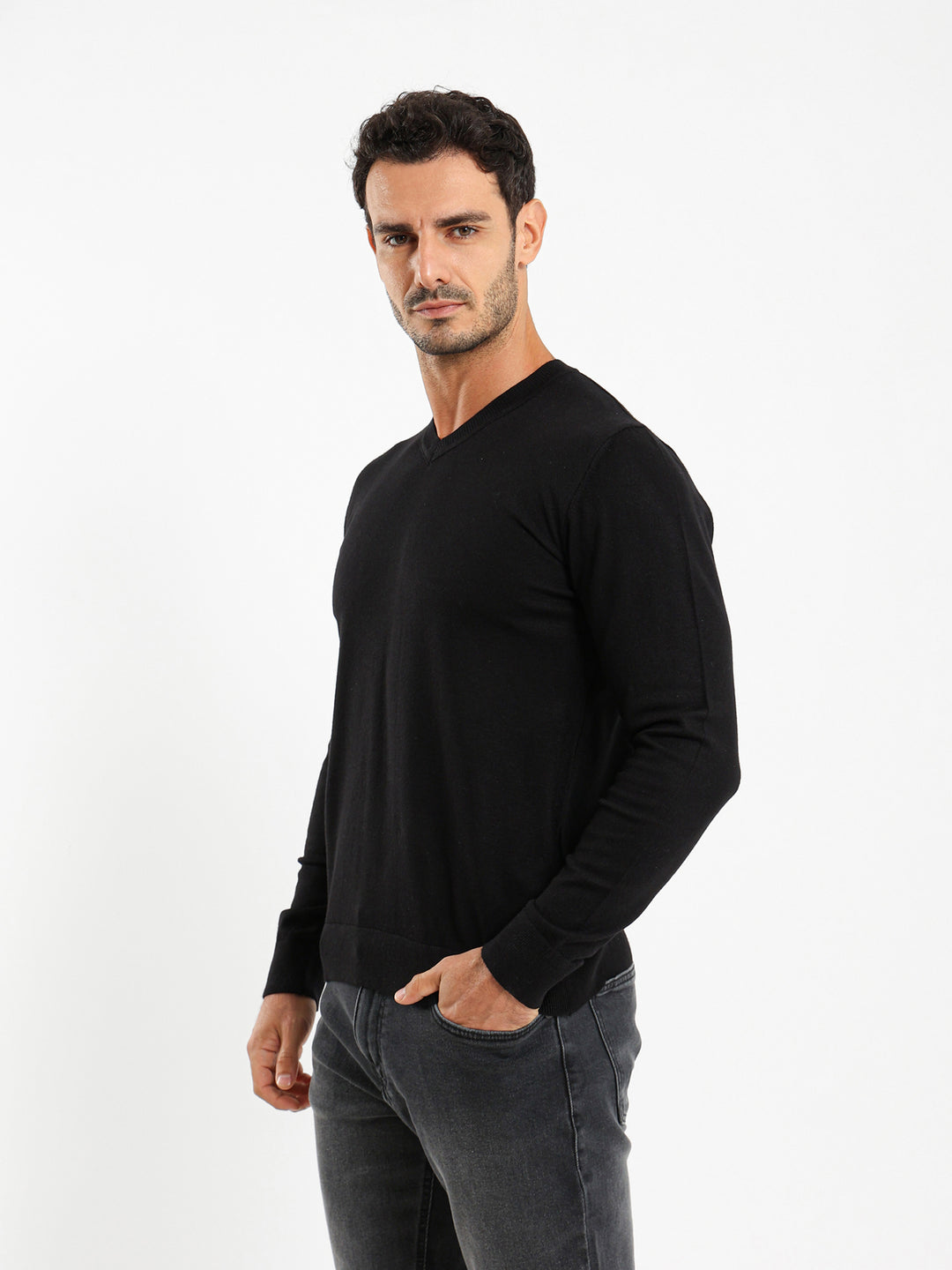 Basic Regular V-Neck Pullover