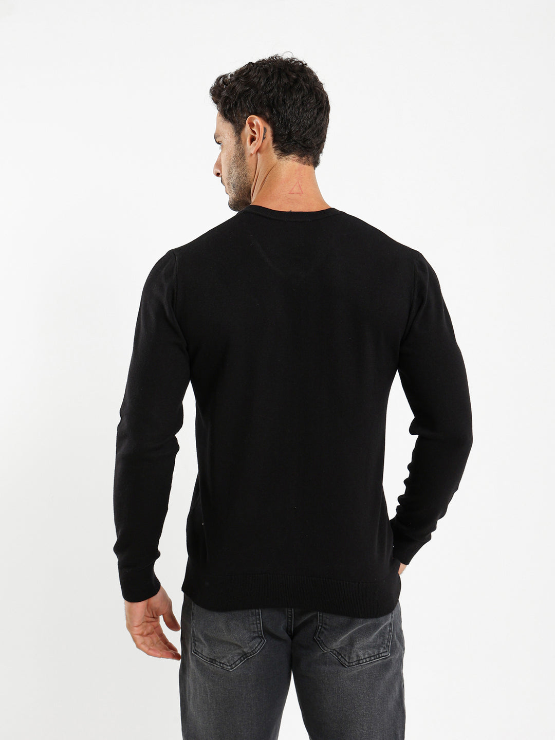 Basic Regular V-Neck Pullover