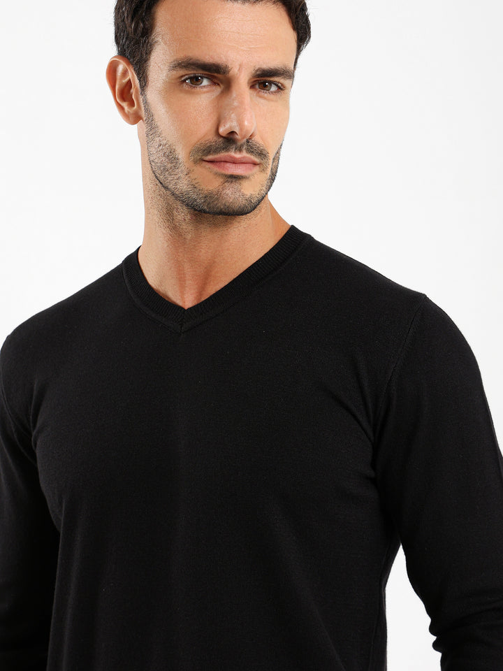 Basic Regular V-Neck Pullover