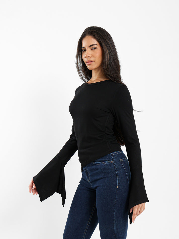 Ruffled Sleeves Top