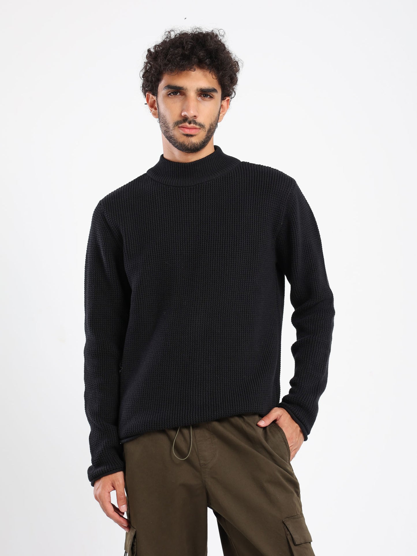 Regular Turtle Neck with Long Sleeves