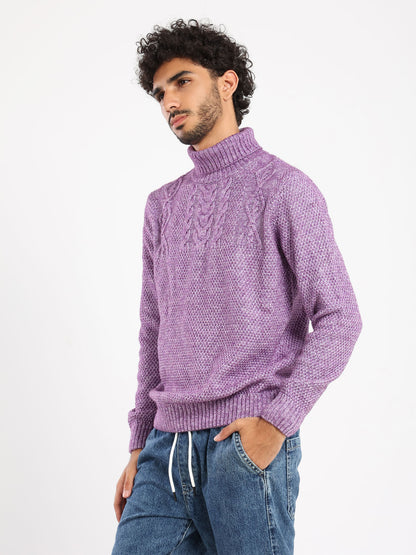 Regular Turtle Neck with Long Sleeves