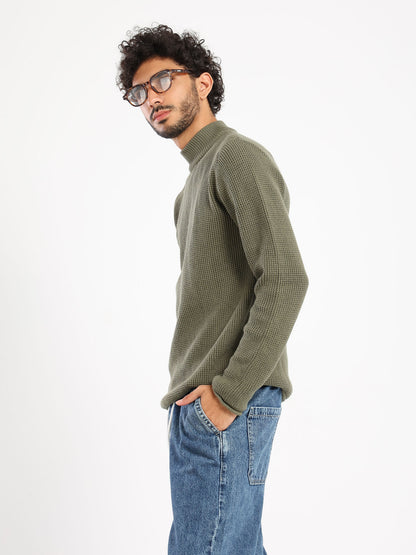 Regular Turtle Neck with Long Sleeves