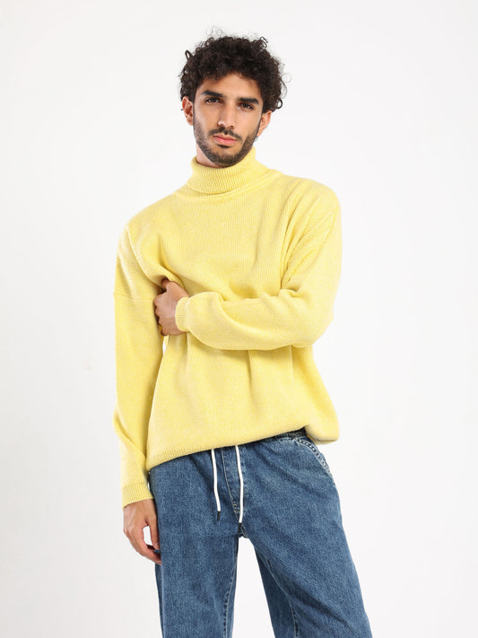 Oversized Turtle Neck with Long Sleeves