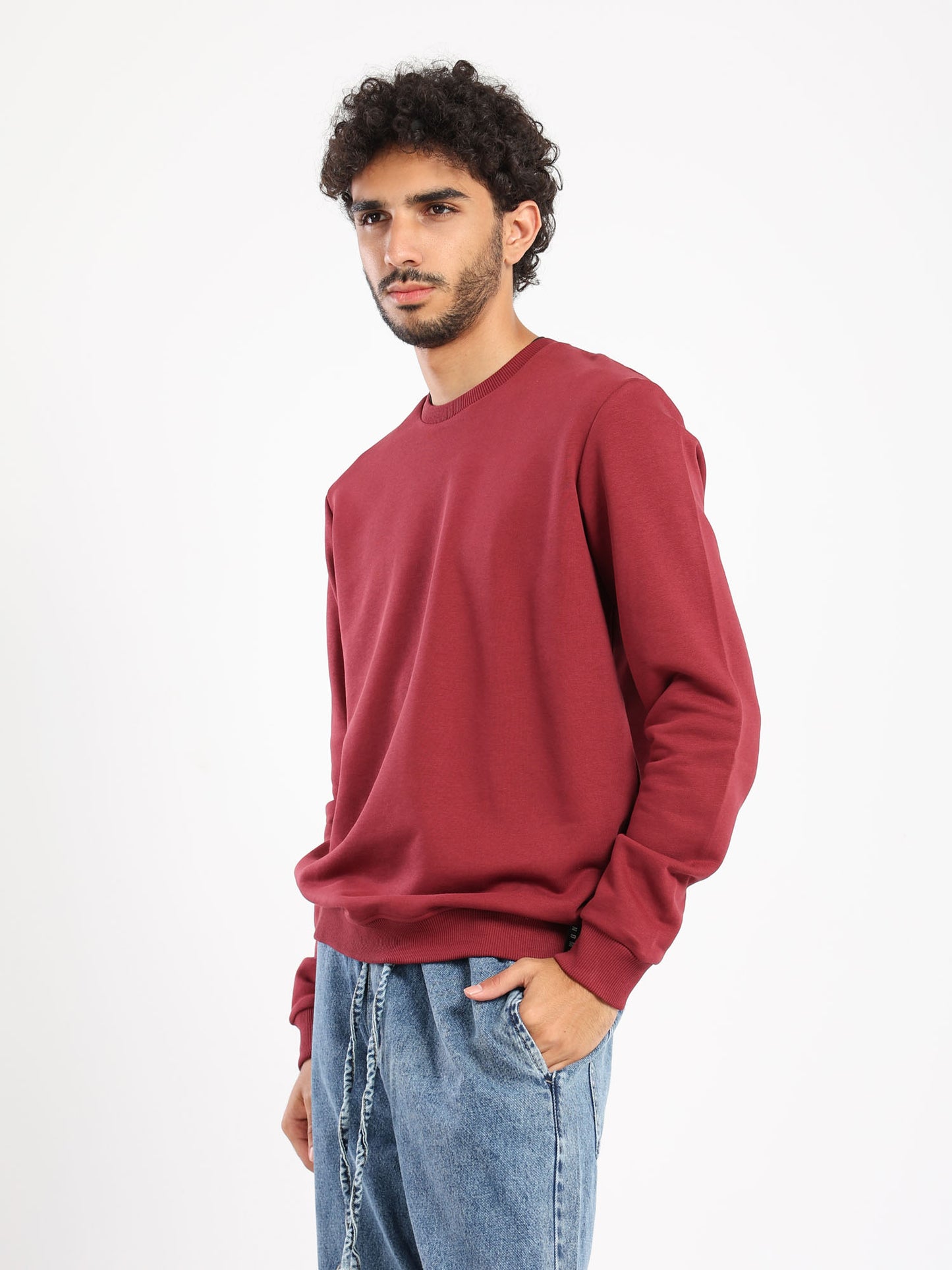 Regular Fit Solid Sweatshirt