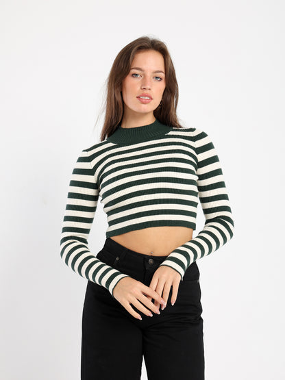 Fitted Long Sleeves Top with Stripes