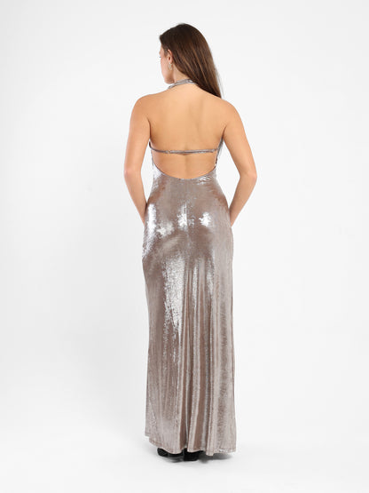 Fitted Shiny Long Dress