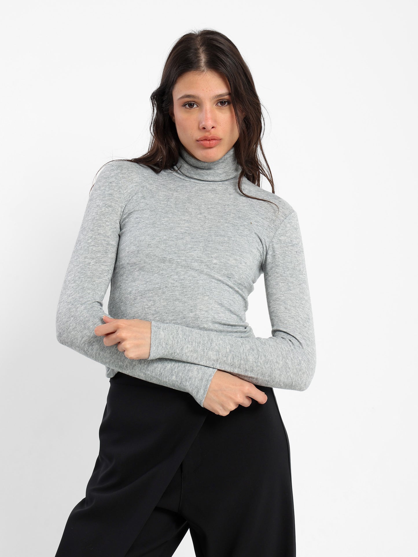 Fitted Long Sleeves Turtle Neck