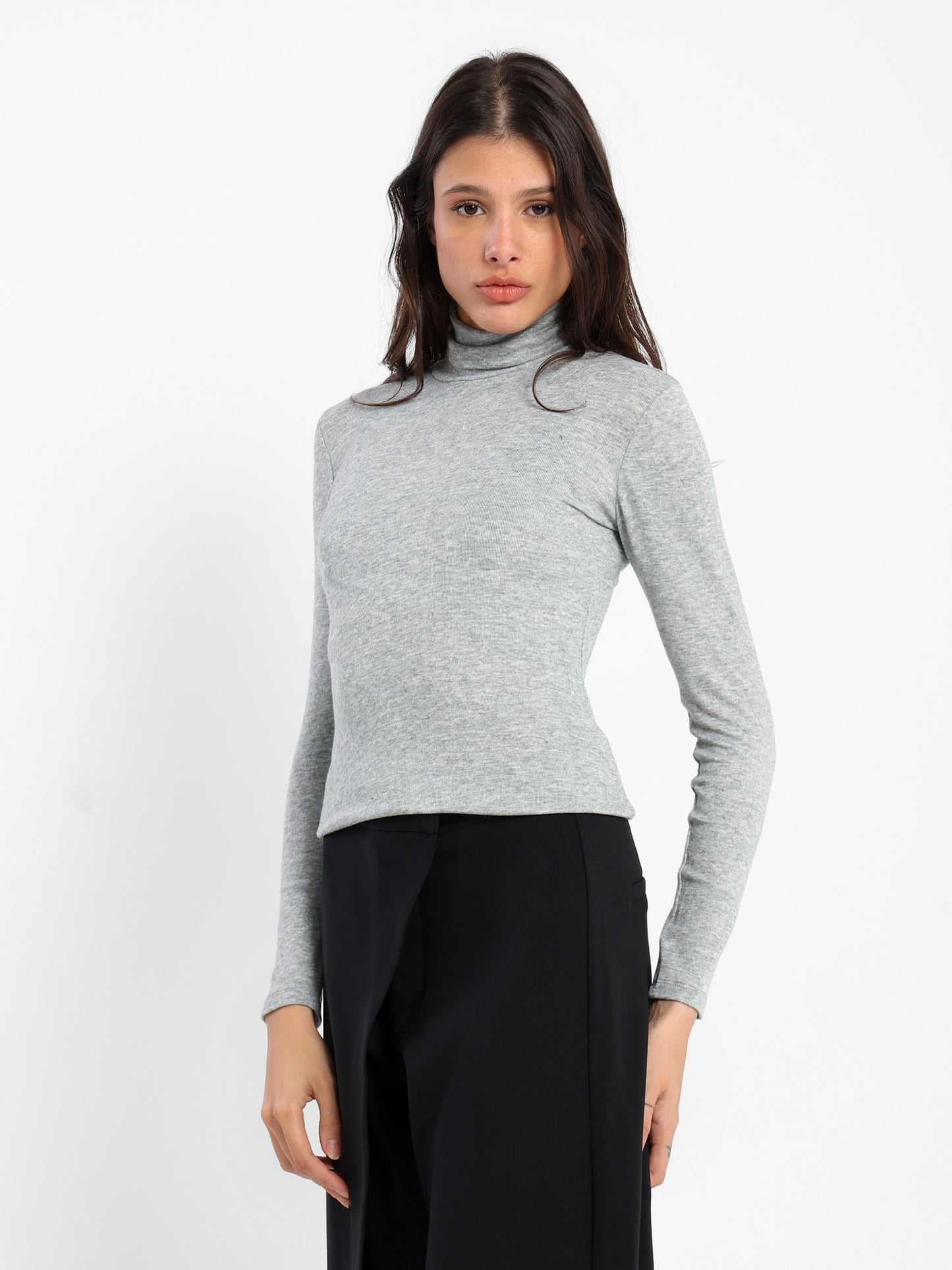 Fitted Long Sleeves Turtle Neck