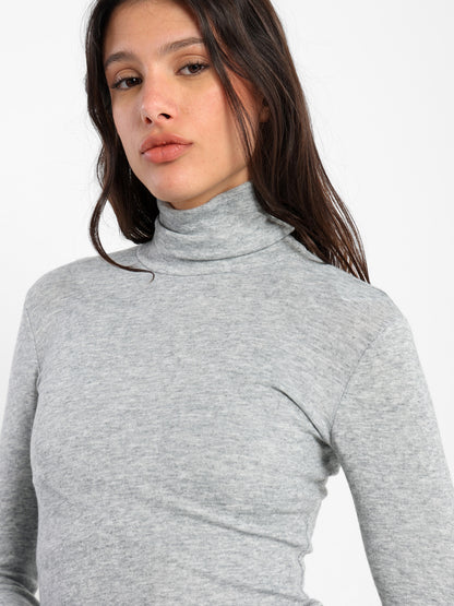 Fitted Long Sleeves Turtle Neck