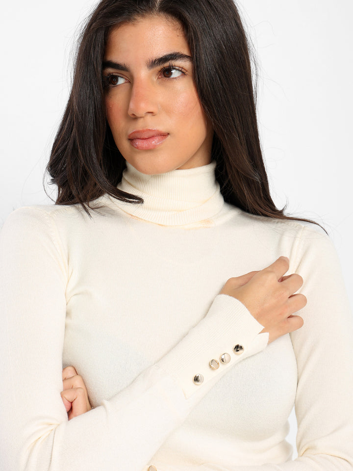 Fitted Long Sleeves Turtle Neck