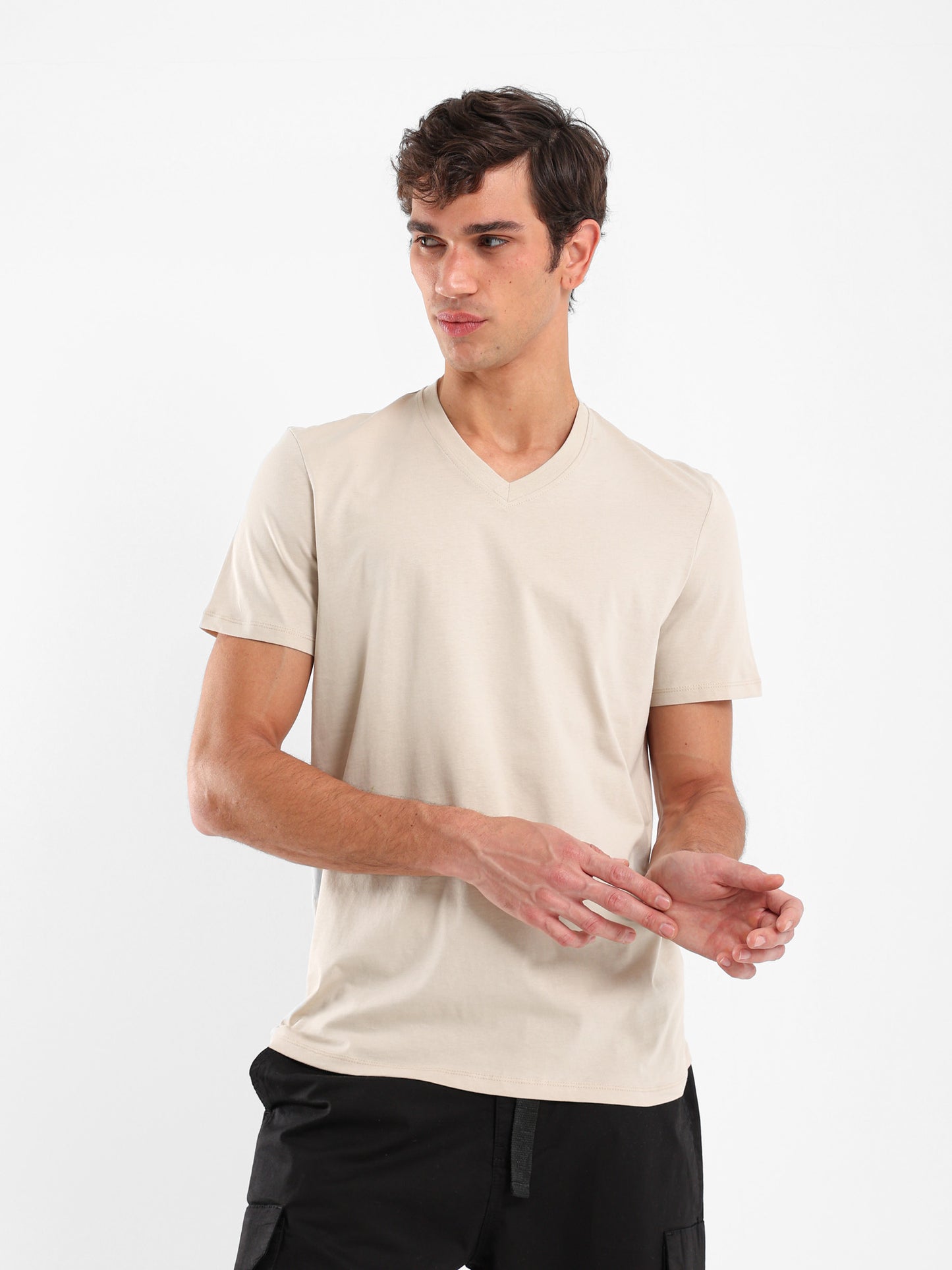 Basic Regular Fit V-Neck T-Shirt