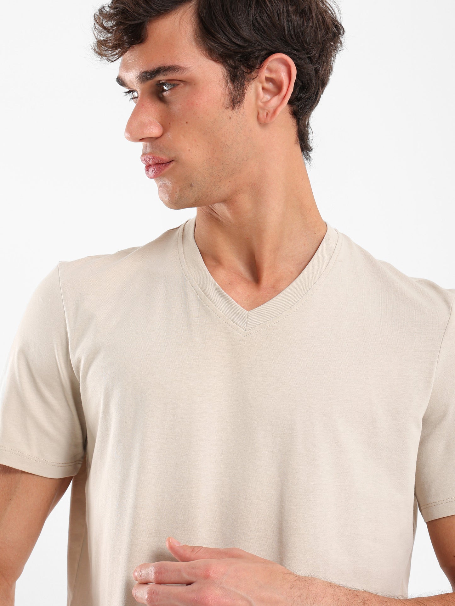 Basic Regular Fit V-Neck T-Shirt