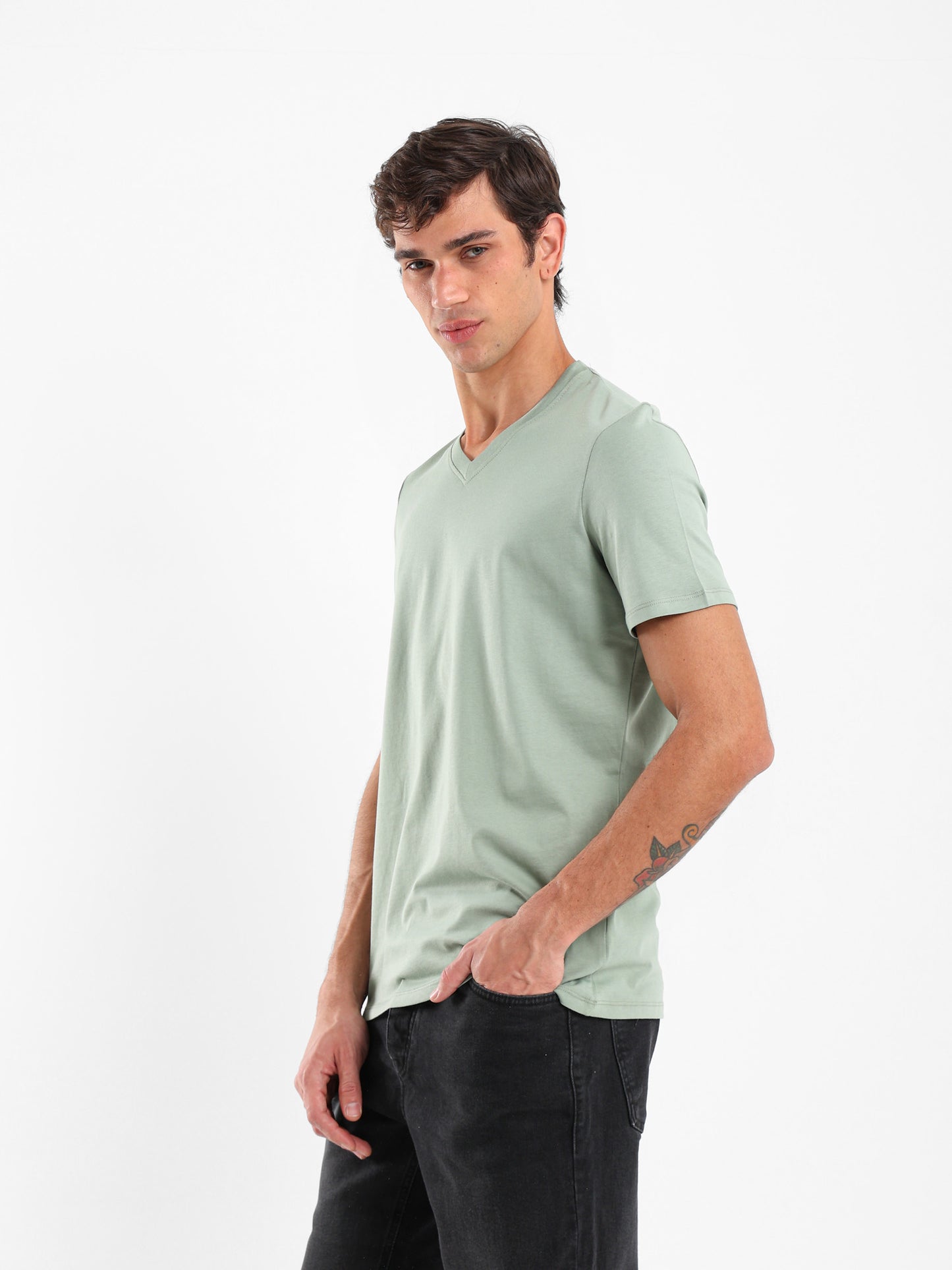 Basic Regular Fit V-Neck T-Shirt