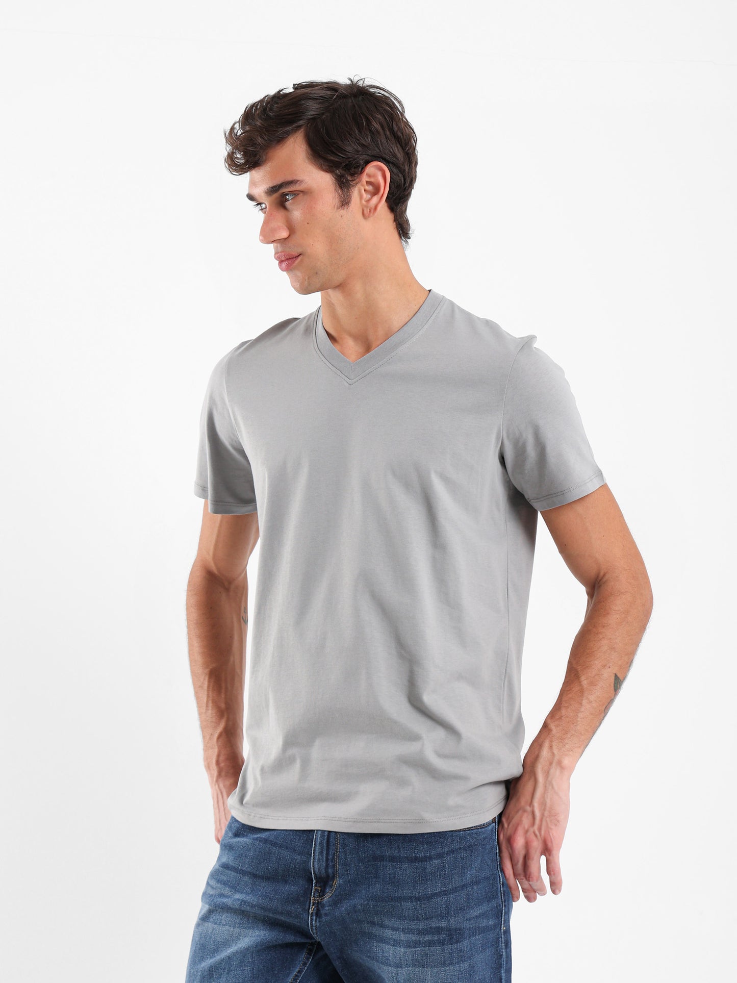 Basic Regular Fit V-Neck T-Shirt