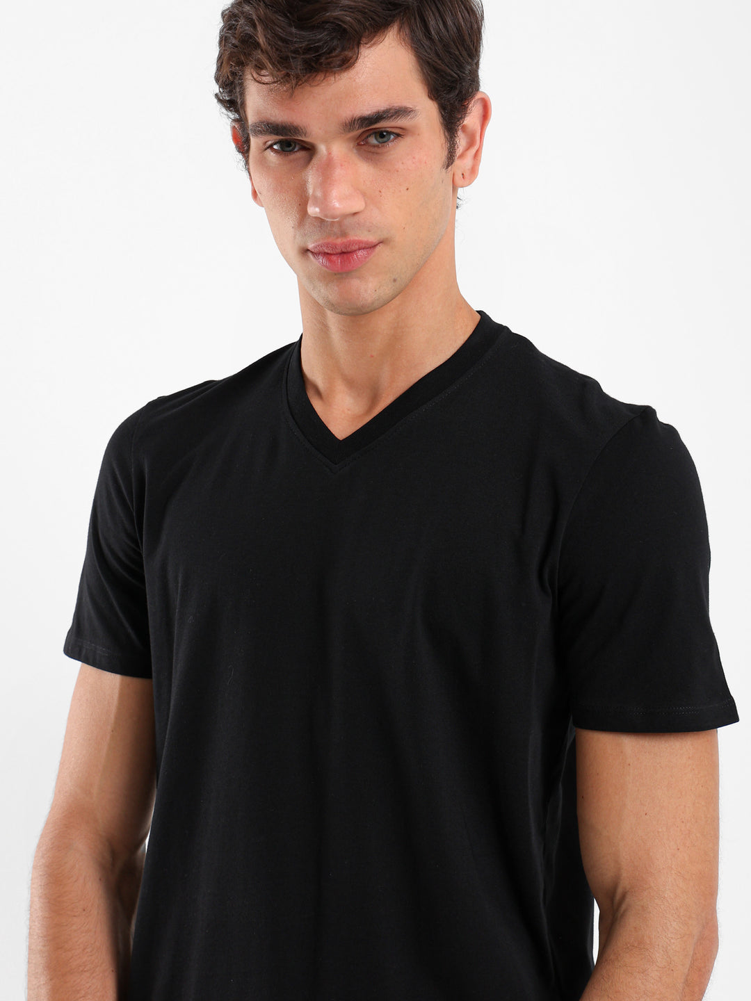 Basic Regular Fit V-Neck T-Shirt