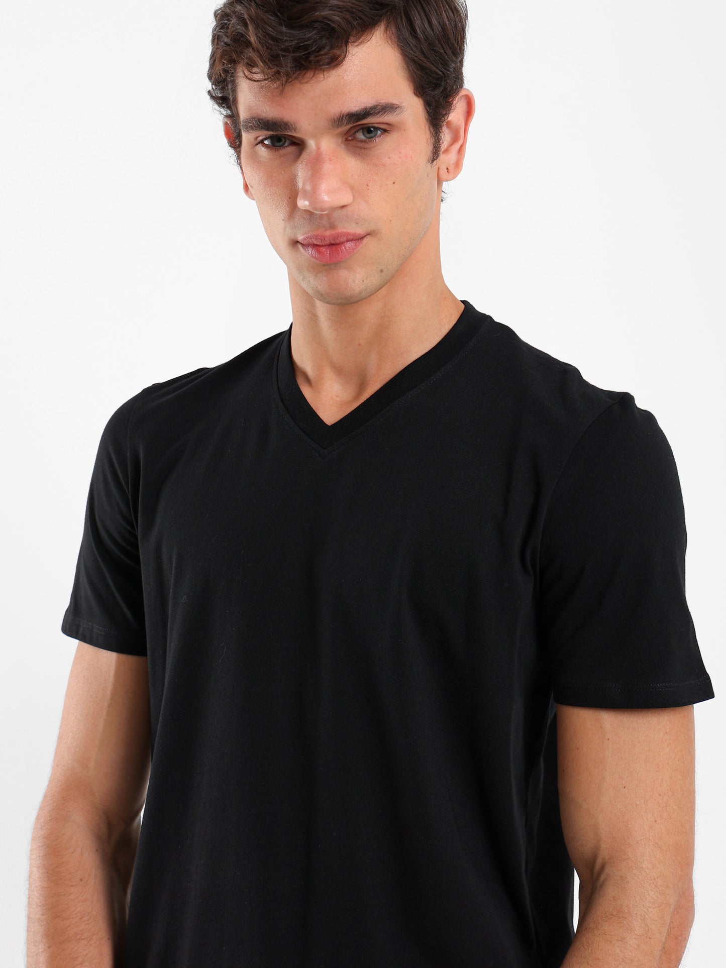 Basic Regular Fit V-Neck T-Shirt