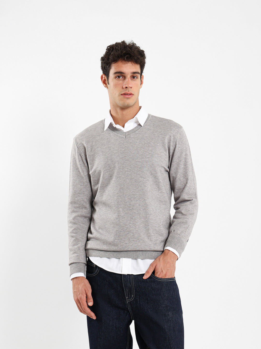 Basic Regular V-Neck Pullover