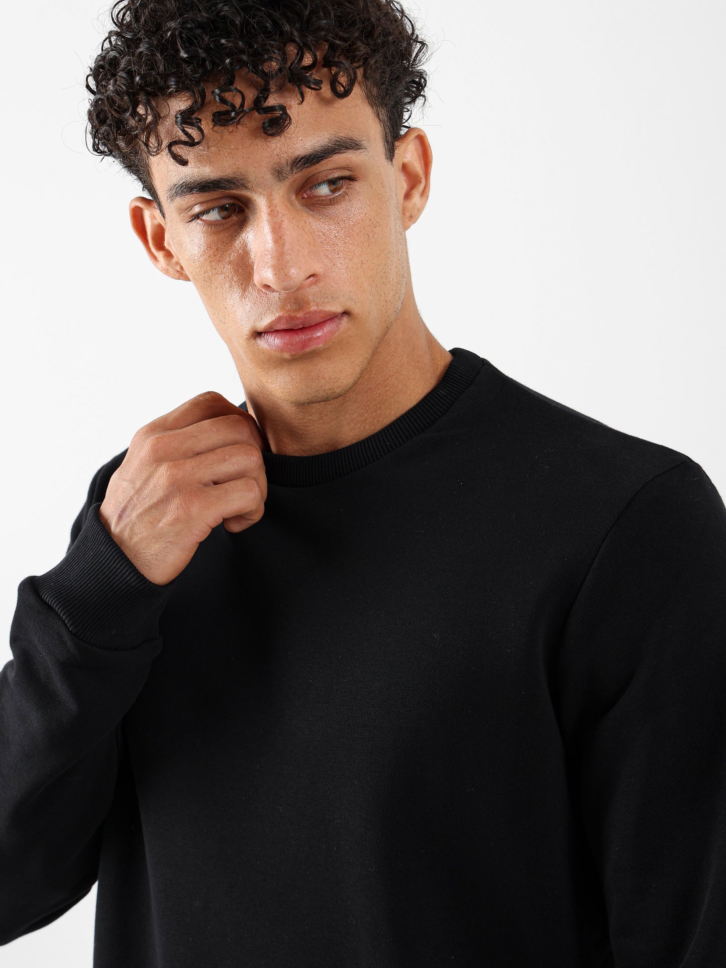 Regular Fit Solid Sweatshirt